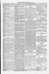 Weymouth Telegram Friday 20 February 1880 Page 7