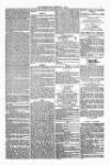 Weymouth Telegram Friday 05 March 1880 Page 7