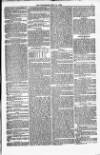 Weymouth Telegram Friday 14 May 1880 Page 7