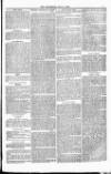 Weymouth Telegram Friday 09 July 1880 Page 7