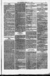 Weymouth Telegram Friday 17 December 1880 Page 5