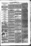 Weymouth Telegram Friday 17 December 1880 Page 9