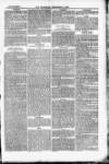 Weymouth Telegram Friday 17 December 1880 Page 13