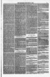 Weymouth Telegram Friday 31 December 1880 Page 5