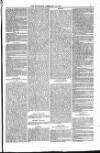 Weymouth Telegram Friday 18 February 1881 Page 5
