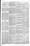 Weymouth Telegram Friday 04 March 1881 Page 5