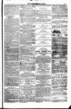 Weymouth Telegram Friday 20 May 1881 Page 15
