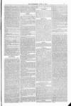 Weymouth Telegram Friday 17 June 1881 Page 7