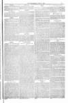 Weymouth Telegram Friday 17 June 1881 Page 13