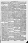 Weymouth Telegram Friday 01 July 1881 Page 13