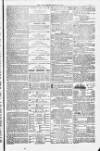 Weymouth Telegram Friday 15 July 1881 Page 15