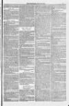 Weymouth Telegram Friday 22 July 1881 Page 5