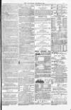 Weymouth Telegram Friday 19 August 1881 Page 15