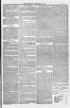 Weymouth Telegram Friday 09 September 1881 Page 7