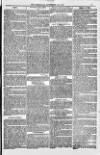 Weymouth Telegram Friday 25 November 1881 Page 17