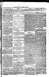 Weymouth Telegram Friday 06 January 1882 Page 7