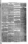 Weymouth Telegram Friday 13 January 1882 Page 7