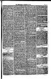 Weymouth Telegram Friday 13 January 1882 Page 9