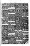 Weymouth Telegram Friday 20 January 1882 Page 7