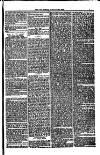 Weymouth Telegram Friday 27 January 1882 Page 7