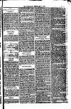 Weymouth Telegram Friday 03 February 1882 Page 5