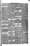 Weymouth Telegram Friday 03 February 1882 Page 7