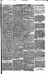 Weymouth Telegram Friday 03 February 1882 Page 13