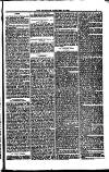 Weymouth Telegram Friday 10 February 1882 Page 7