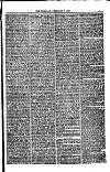 Weymouth Telegram Friday 17 February 1882 Page 7