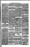 Weymouth Telegram Friday 17 February 1882 Page 13
