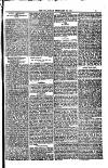 Weymouth Telegram Friday 24 February 1882 Page 5