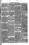 Weymouth Telegram Friday 24 February 1882 Page 7