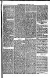 Weymouth Telegram Friday 24 February 1882 Page 9