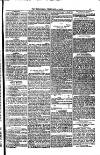 Weymouth Telegram Friday 24 February 1882 Page 13