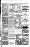 Weymouth Telegram Friday 24 February 1882 Page 15