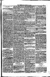 Weymouth Telegram Friday 10 March 1882 Page 5