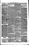 Weymouth Telegram Friday 10 March 1882 Page 7