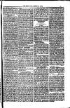 Weymouth Telegram Friday 10 March 1882 Page 13