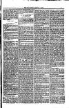 Weymouth Telegram Friday 17 March 1882 Page 5