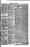 Weymouth Telegram Friday 17 March 1882 Page 7