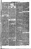 Weymouth Telegram Friday 21 April 1882 Page 5