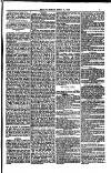 Weymouth Telegram Friday 21 April 1882 Page 7