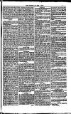 Weymouth Telegram Friday 05 May 1882 Page 5