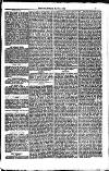 Weymouth Telegram Friday 05 May 1882 Page 7