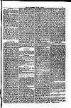 Weymouth Telegram Friday 09 June 1882 Page 5