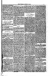 Weymouth Telegram Friday 23 June 1882 Page 7