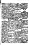 Weymouth Telegram Friday 22 September 1882 Page 13