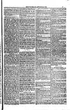 Weymouth Telegram Friday 20 October 1882 Page 5