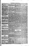 Weymouth Telegram Friday 20 October 1882 Page 7