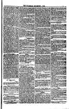 Weymouth Telegram Friday 01 December 1882 Page 7